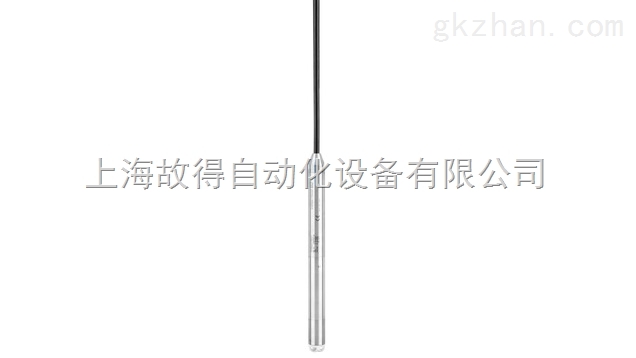 静压式 液位测量 Waterpilot FMX21