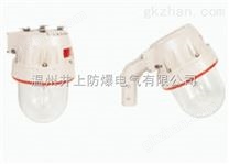 BZD123防爆防腐HID照明燈（新黎明增安型防爆防腐照明燈）
