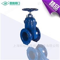 彈性座封閘閥