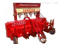 生产丹参种植机