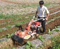 中国台湾日农牌中耕培土机价格