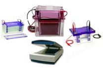 BD-2D100雙向電泳分析系統(tǒng)