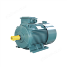 YPF2系列變頻調速電動機