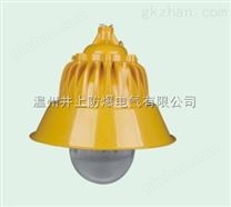 BLC8600/BPC8700高亮度防爆道路燈由歐司朗防爆路燈廠家批發