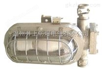 DGS70 127B（A）礦用隔爆型金鹵照明燈