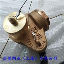 閘閥型測深自閉閥