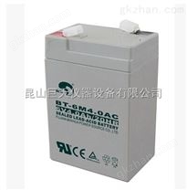 賽特BT-6M4.0AC蓄電池，6V4Ah電子秤電池